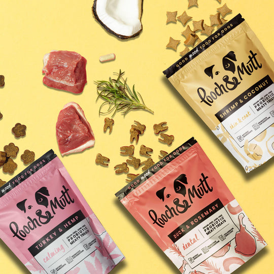 Fleisch-Leckerli Probepackung